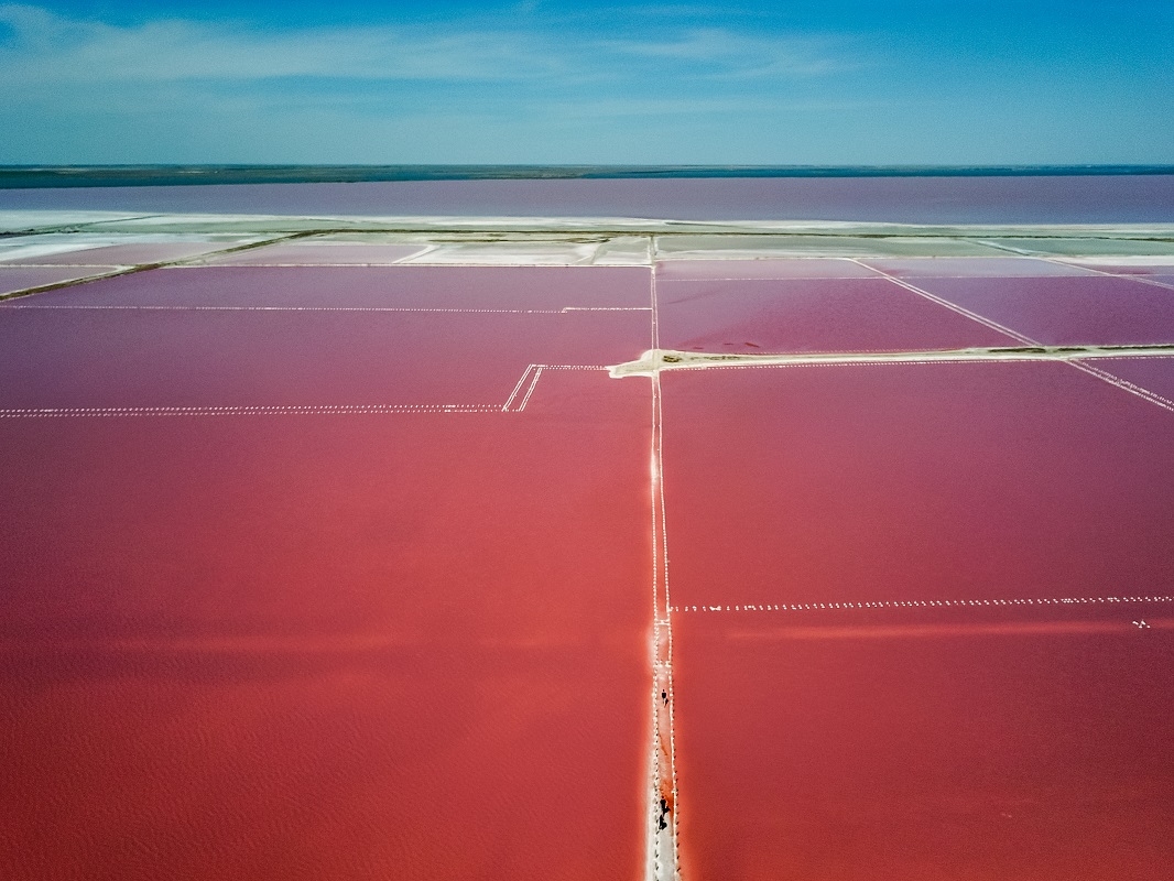 В Крыму знаменитое озеро стало ярко-розового цвета: зрелищные фото