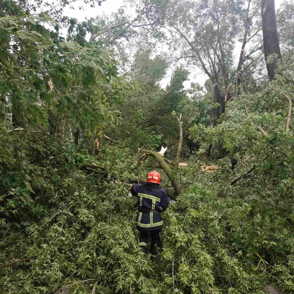 Поваленные деревья и затопленные улицы: под Ровно разбушевалась непогода