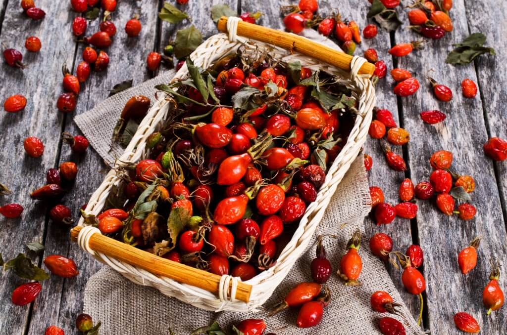 1 октября: какой сегодня праздник и что категорически нельзя делать