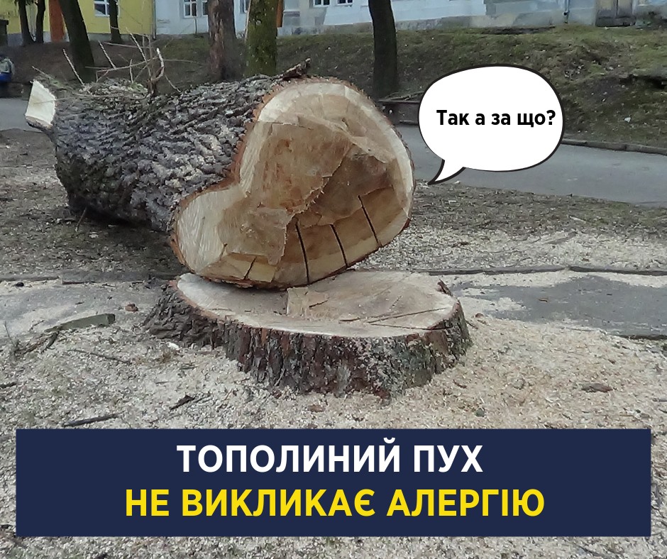 Залиште дерева в спокої: Супрун зруйнувала популярний міф про алергії