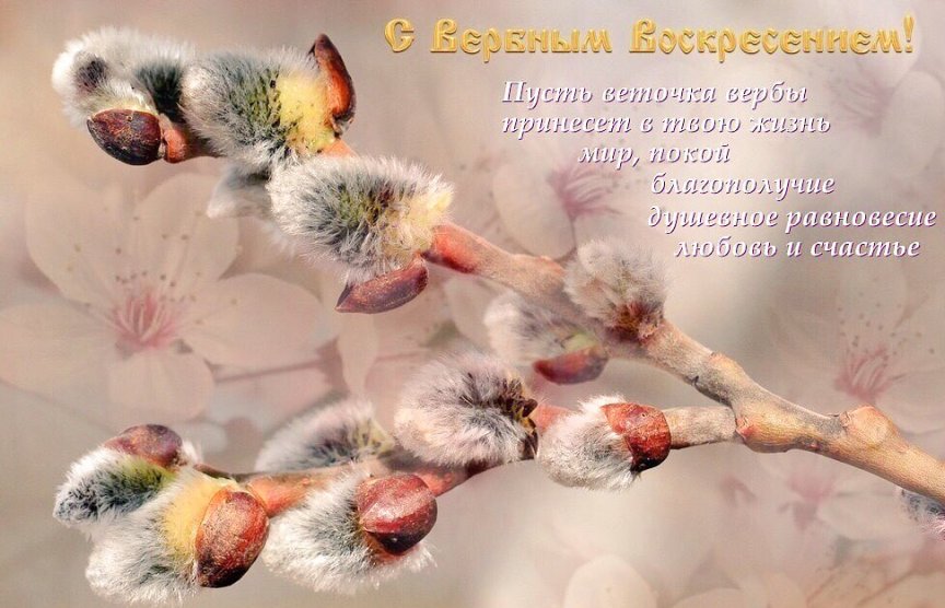 Вербное воскресенье: самые красивые поздравления в картинках и открытках