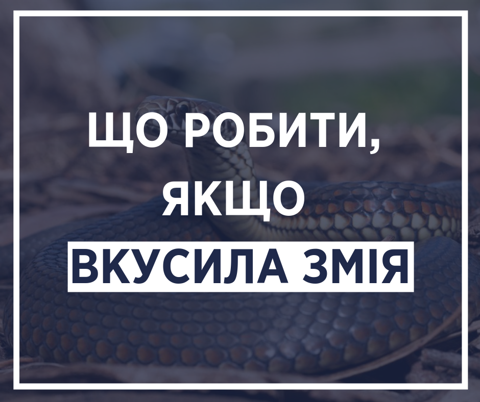Что делать, если укусила змея: Супрун предупредила украинцев