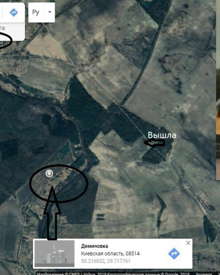 Зникла в поле кукурудзи: під Києвом знайшли мертвою співробітницю Верховної Ради