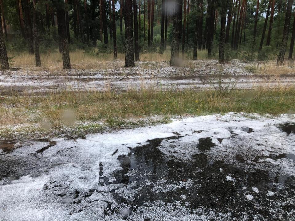 Зима летом: под Киевом выпал снег (фото)