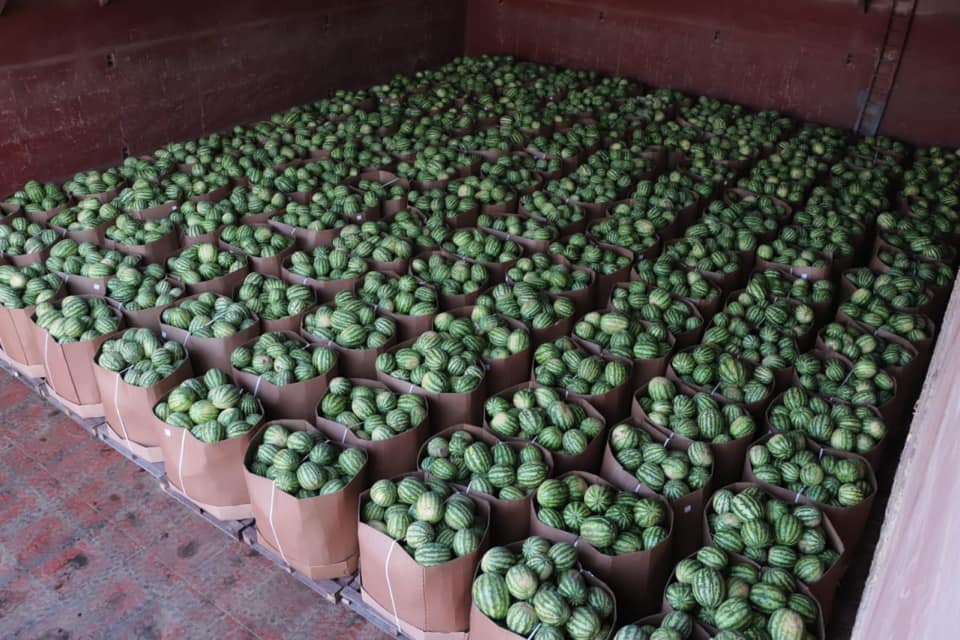 В Киев плывут арбузы: появились "вкусные" фото