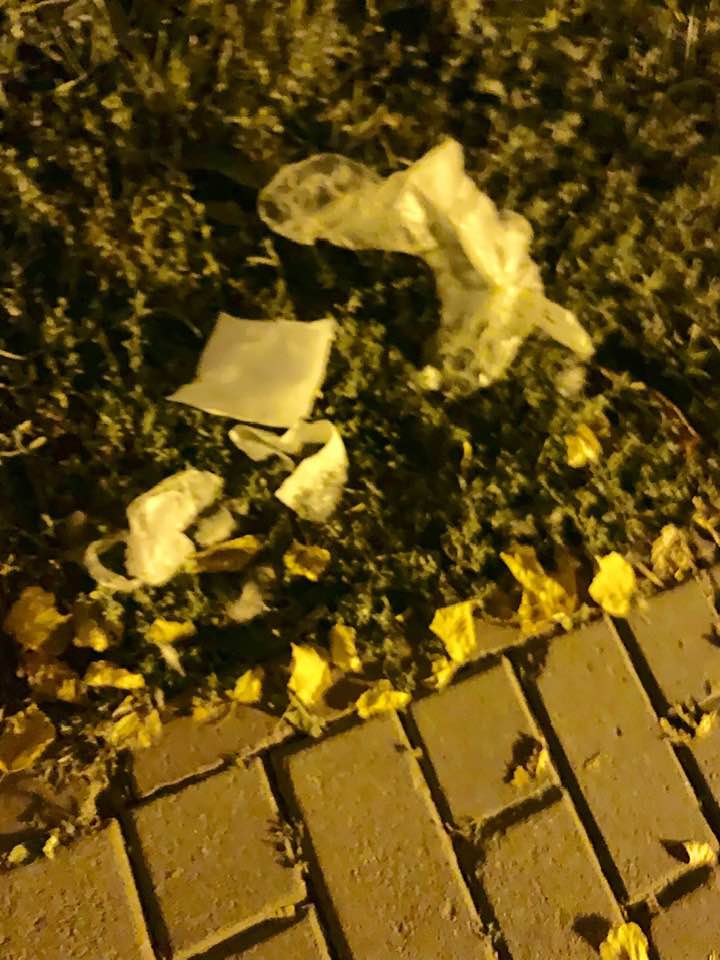 Под зданием ГПУ в Киеве устроили "гадюшник": в сеть попали фото