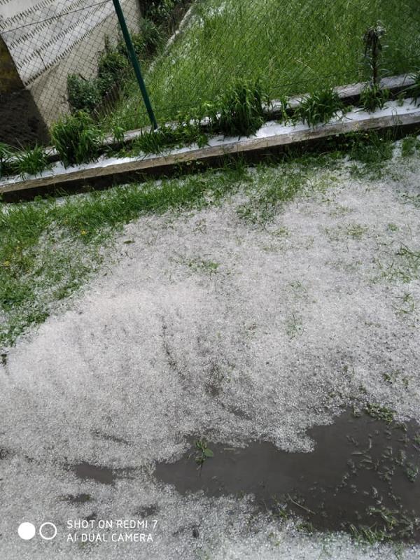 Град на Закарпатье полностью уничтожил будущий урожай (фото)