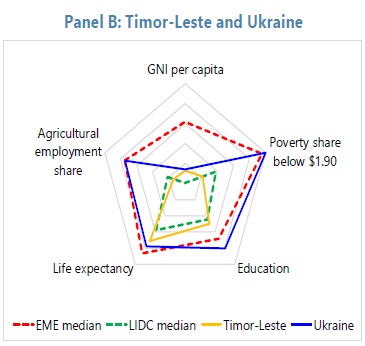 У МВФ не вважають Україну бідною країною, що розвивається
