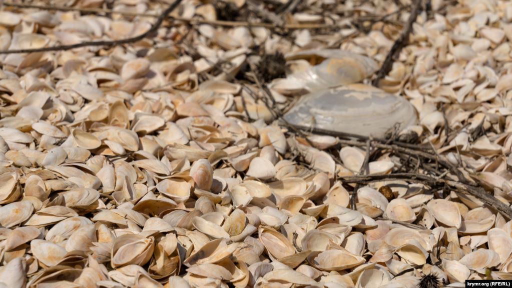 Когда-то была вода: появились пугающие фото экологической катастрофы в Крыму