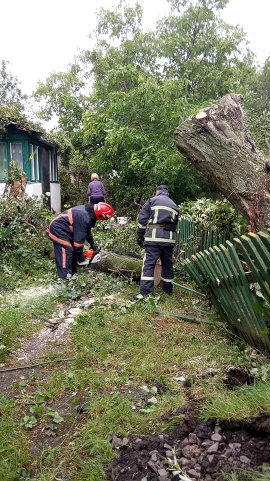 Поваленные деревья и затопленные улицы: под Ровно разбушевалась непогода