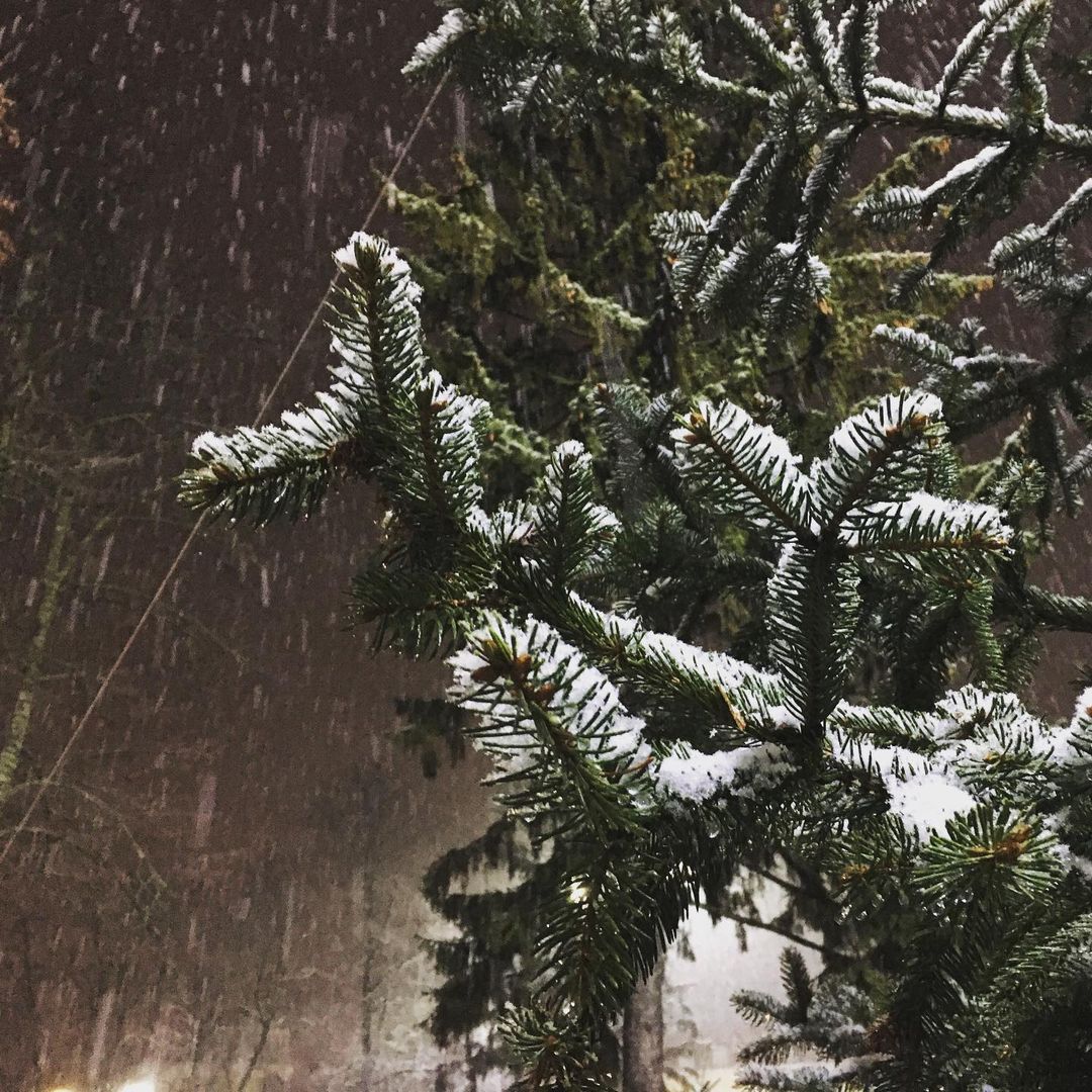 В Украину пришла сказочная зима: на фото попали невероятные пейзажи