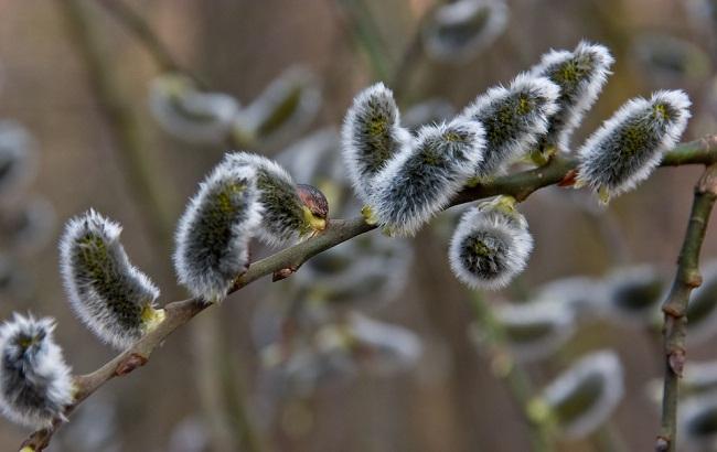 Итоги дня: 3 апреля