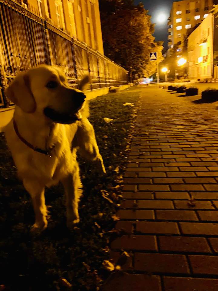 Под зданием ГПУ в Киеве устроили "гадюшник": в сеть попали фото