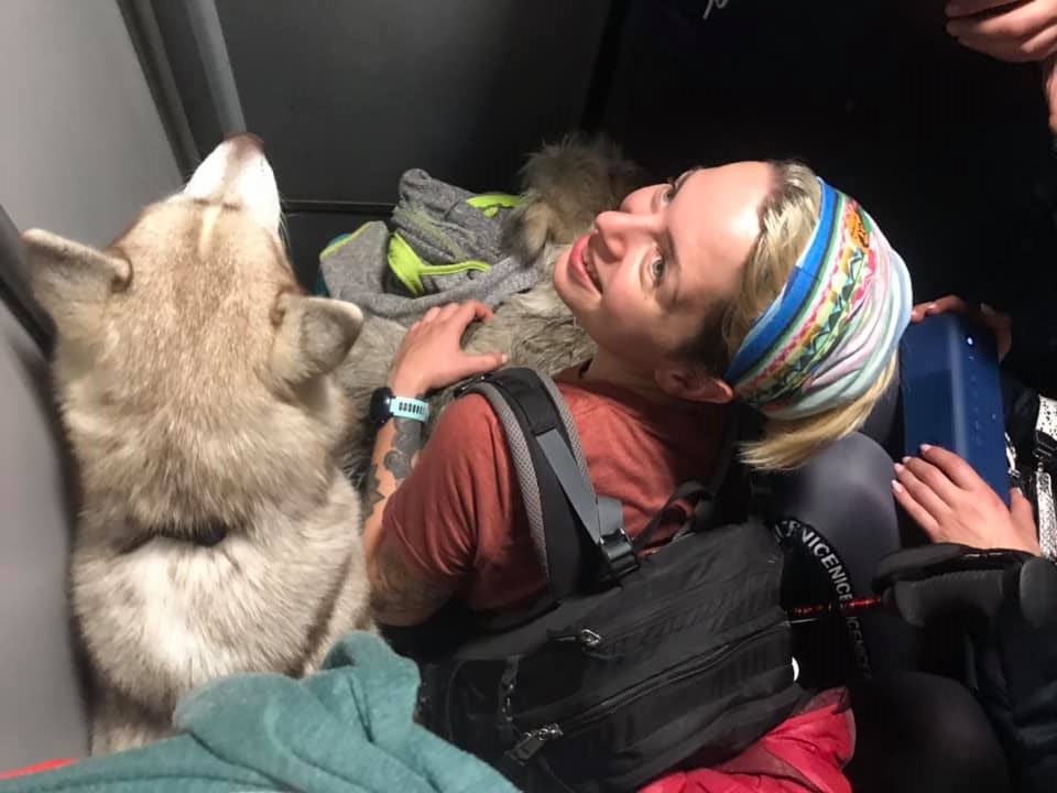 Лютый трэш и угар от Укрзализныци: перевозчик попал в очередной скандал (видео)