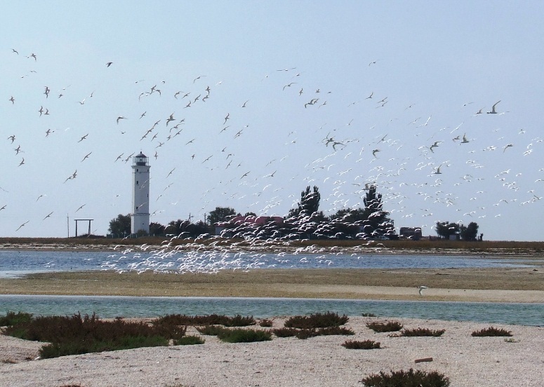 Зеленский едет отдыхать на Азовское море - СМИ