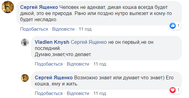 У центрі Києва знову помітили леопарда: хижака зняли на відео