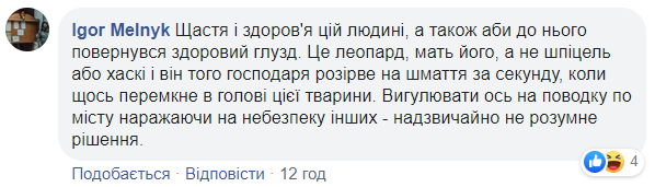 У центрі Києва знову помітили леопарда: хижака зняли на відео