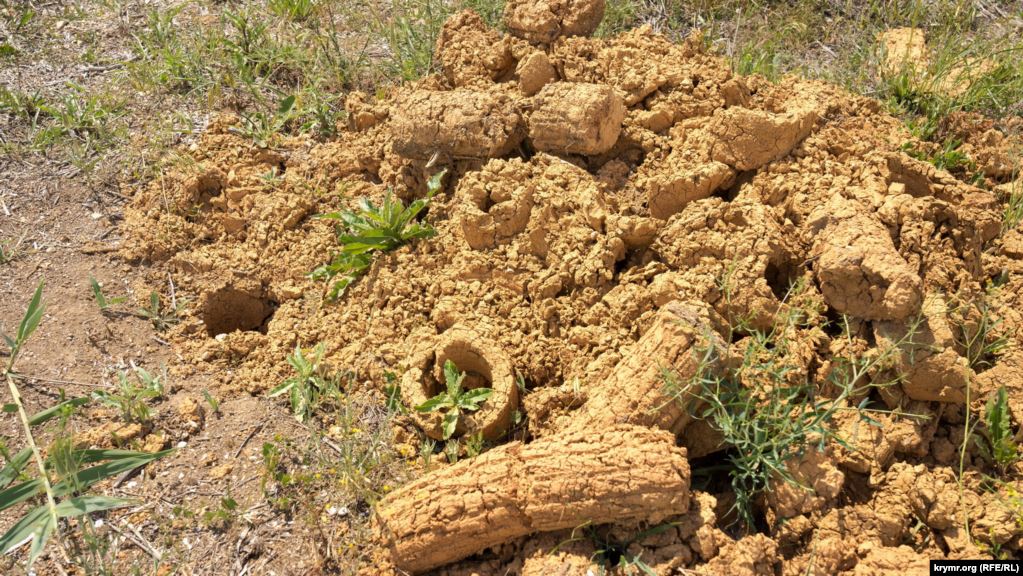 Когда-то была вода: появились пугающие фото экологической катастрофы в Крыму