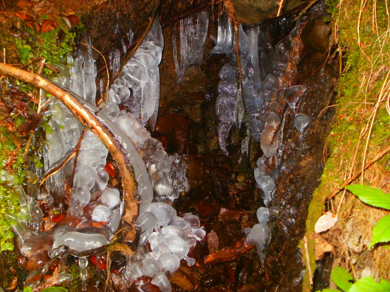 В украинских Карпатах замерзли водопады: сказочные фото ледяных "скульптур"