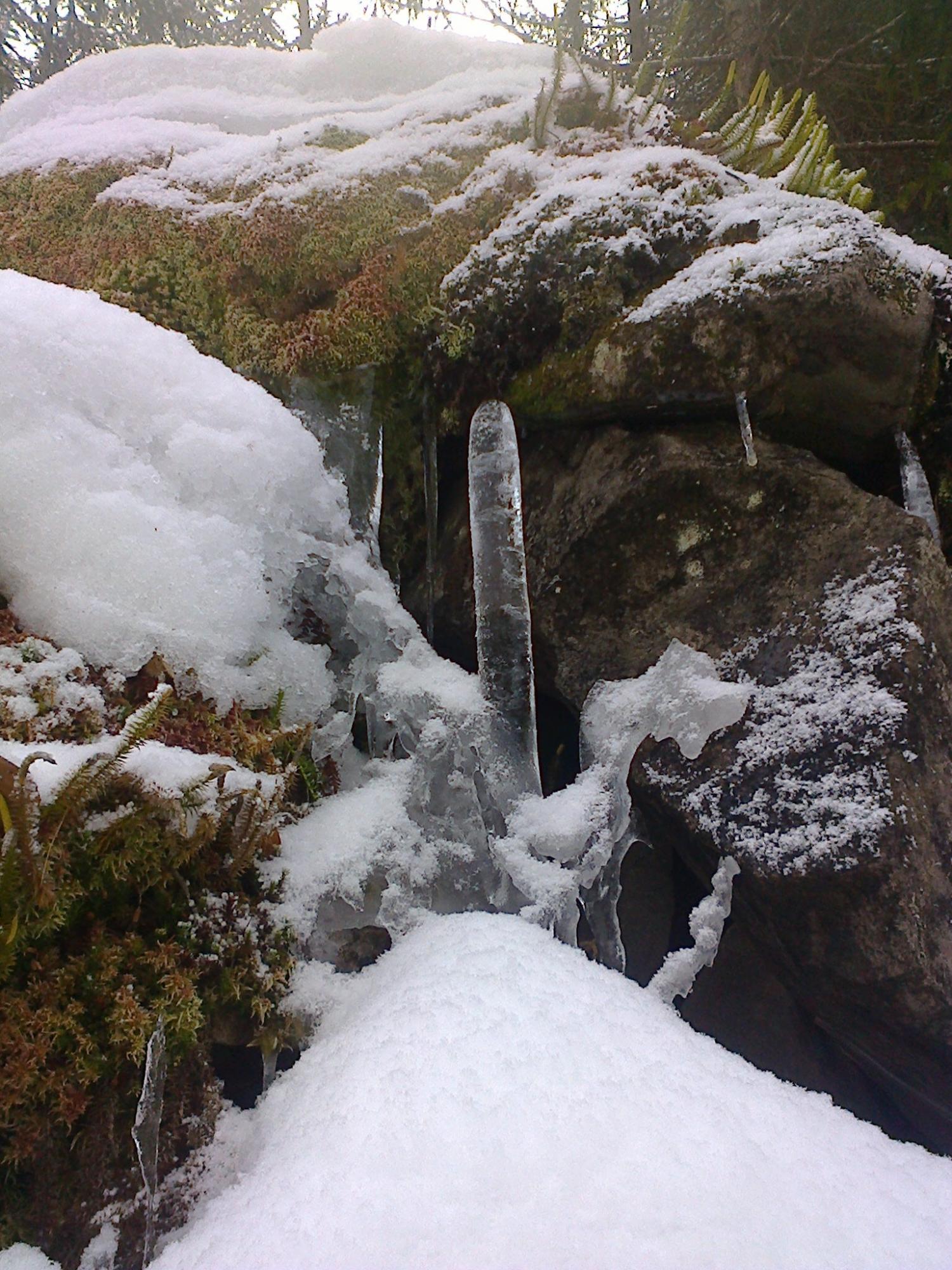 В украинских Карпатах замерзли водопады: сказочные фото ледяных "скульптур"