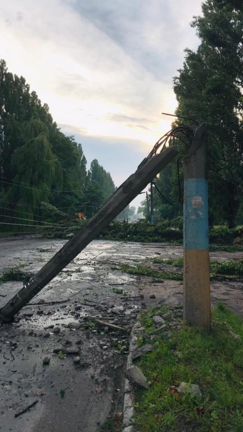 Повалені дерева, затоплені вулиці та постраждалий чоловік: Житомир накрила негода
