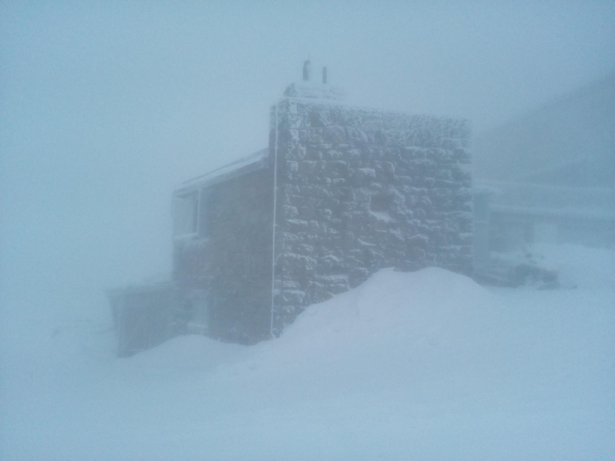 Замело снегом: в сети появилось яркое фото из Карпат