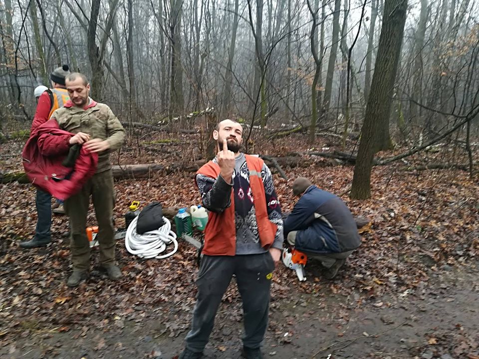 В одному з парків Києва нещадно рубають ліс: пройшли перші "розбірки" (фото)