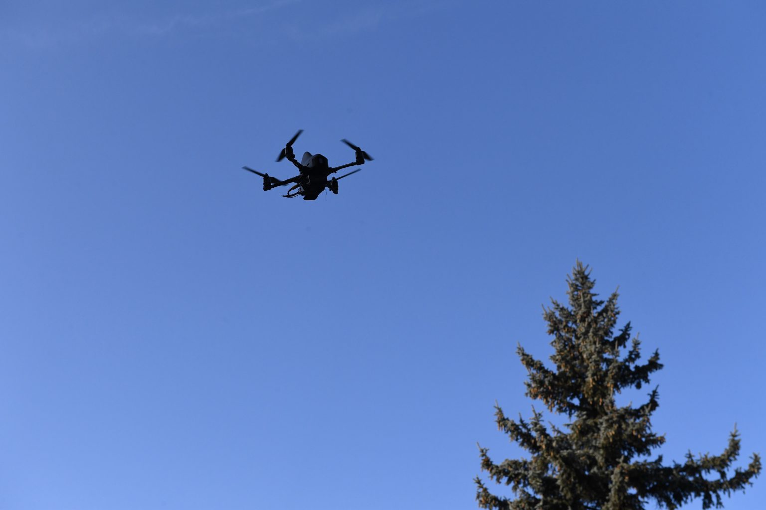 Наша "Берегиня": в Украине показали первый отечественный военный дрон-разведчик (видео)