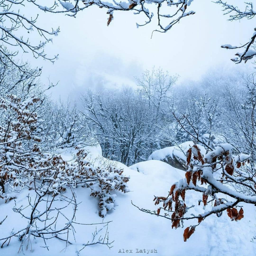 В Крым пришла настоящая зима: от красоты захватывает дух (фото, видео)