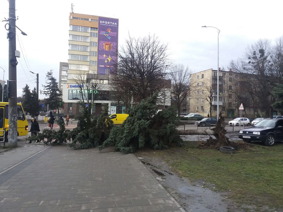 Во Львове бушует ураган: разрушены железнодорожные пути, повалены деревья