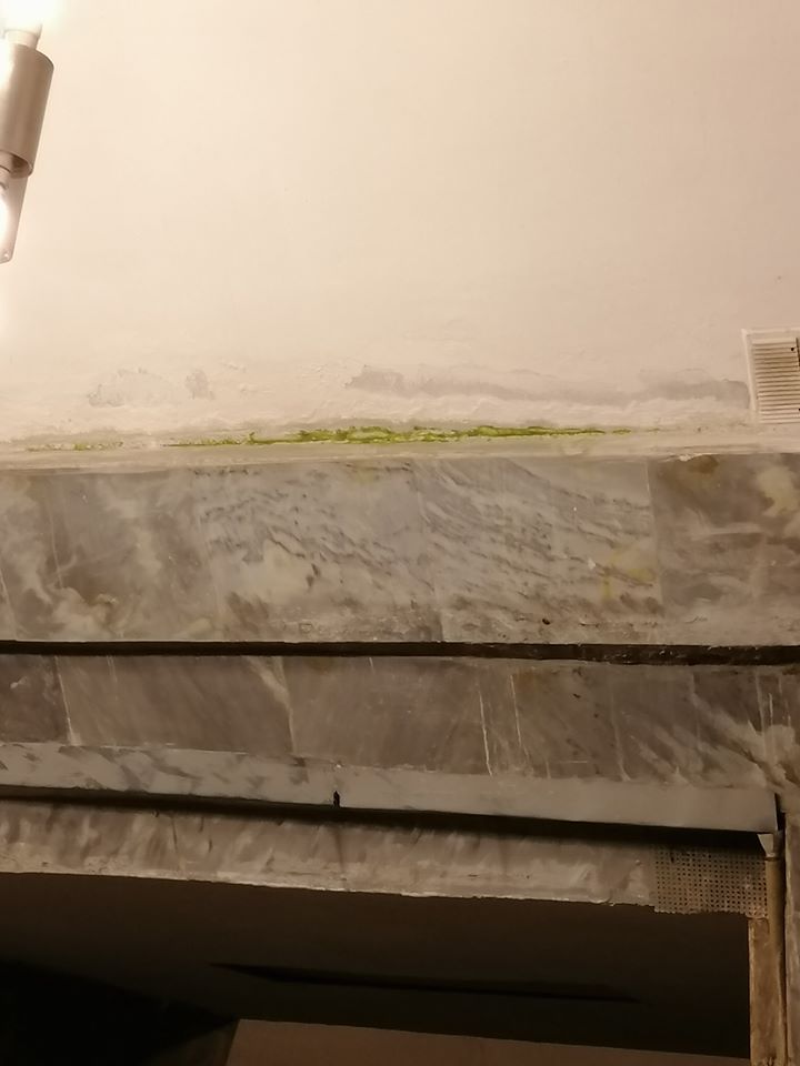 В метро Киева заметили странную "зелень" (фото)