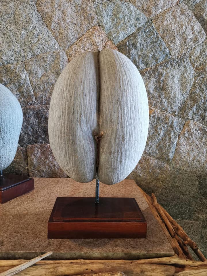 Богдан на Сейшелах сумує за дівчаткам: нетрадиційні і страшненькі