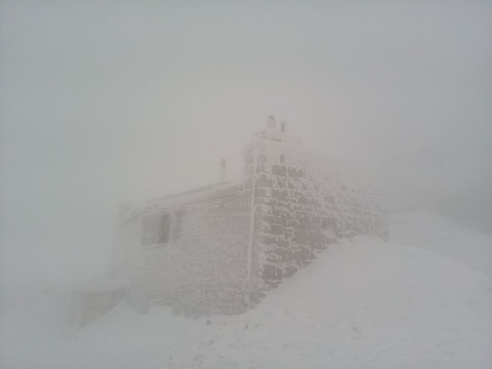 Карпати завалило снігом: зима нарешті настала (фото)