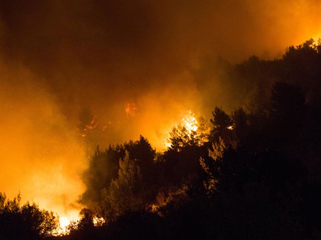 пожары в израиле