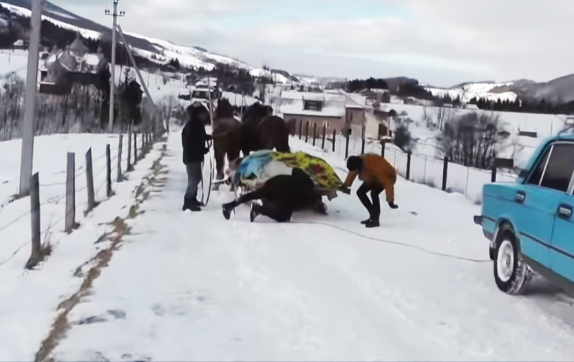 "Сказочные каникулы": группа KAZKA мыла слона и откапывала из снега Жигули