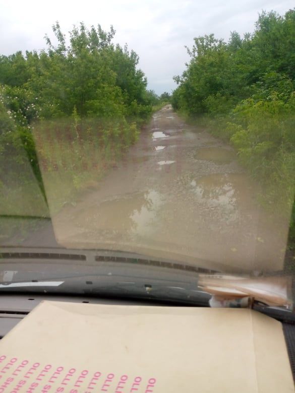 В сети показали "убитую" украинскую дорогу, по которой возят в школу детей: заросли в джунглях