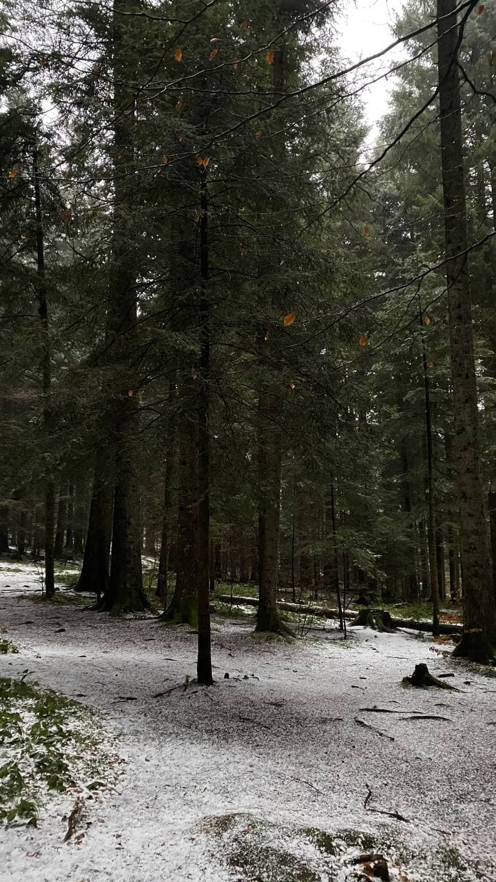 На популярном курорте редкое природное явление создало сказочный пейзаж (фото и видео)