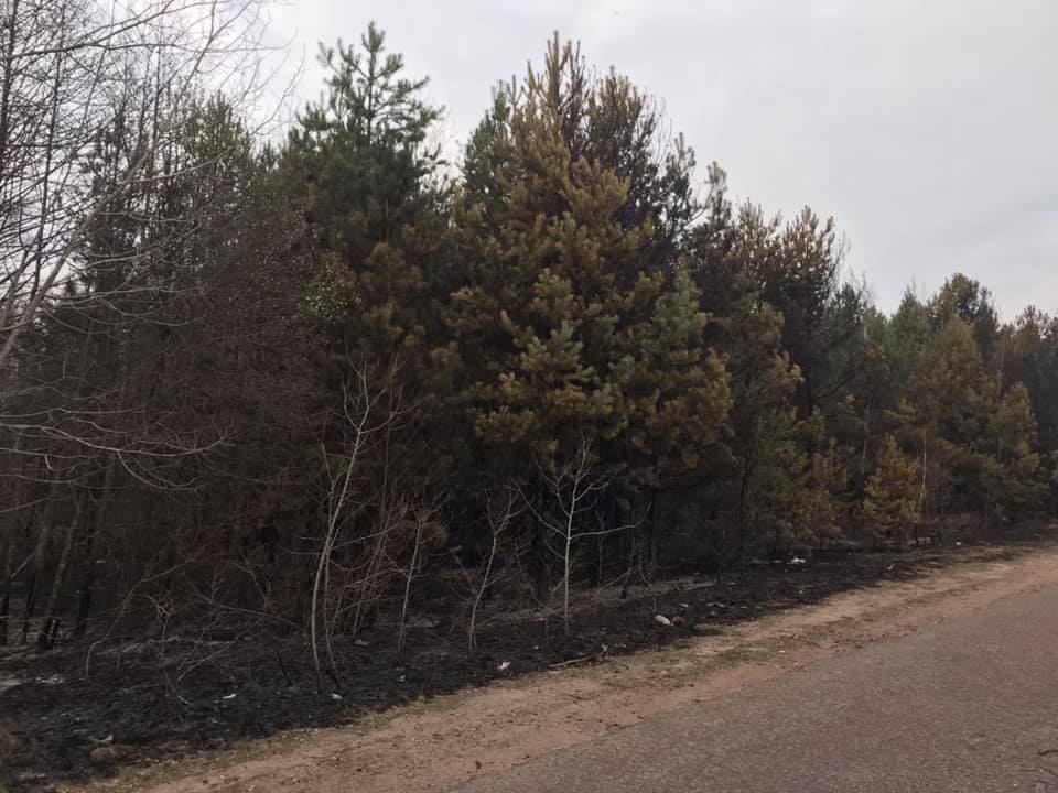 Под Житомиром показали выжженные села после пожара: фото и видео