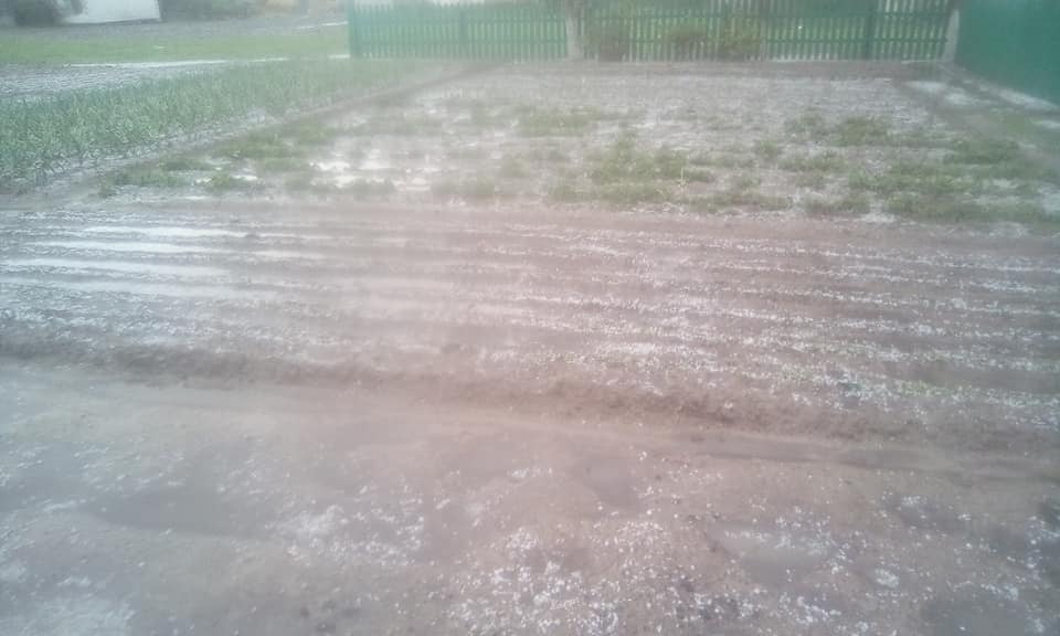 Существенные потери для всех: под Житомиром выпал сильный град (фото)