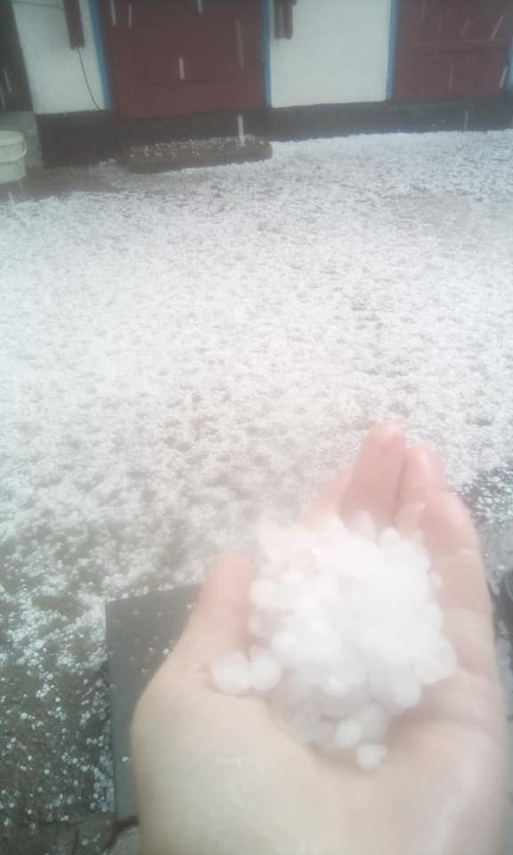 Существенные потери для всех: под Житомиром выпал сильный град (фото)