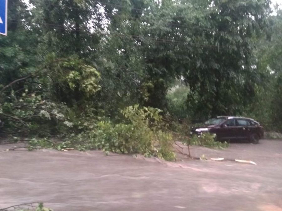 Молнии, град, ливень, ураган: во Львове - погодный апокалипсис (фото и видео)
