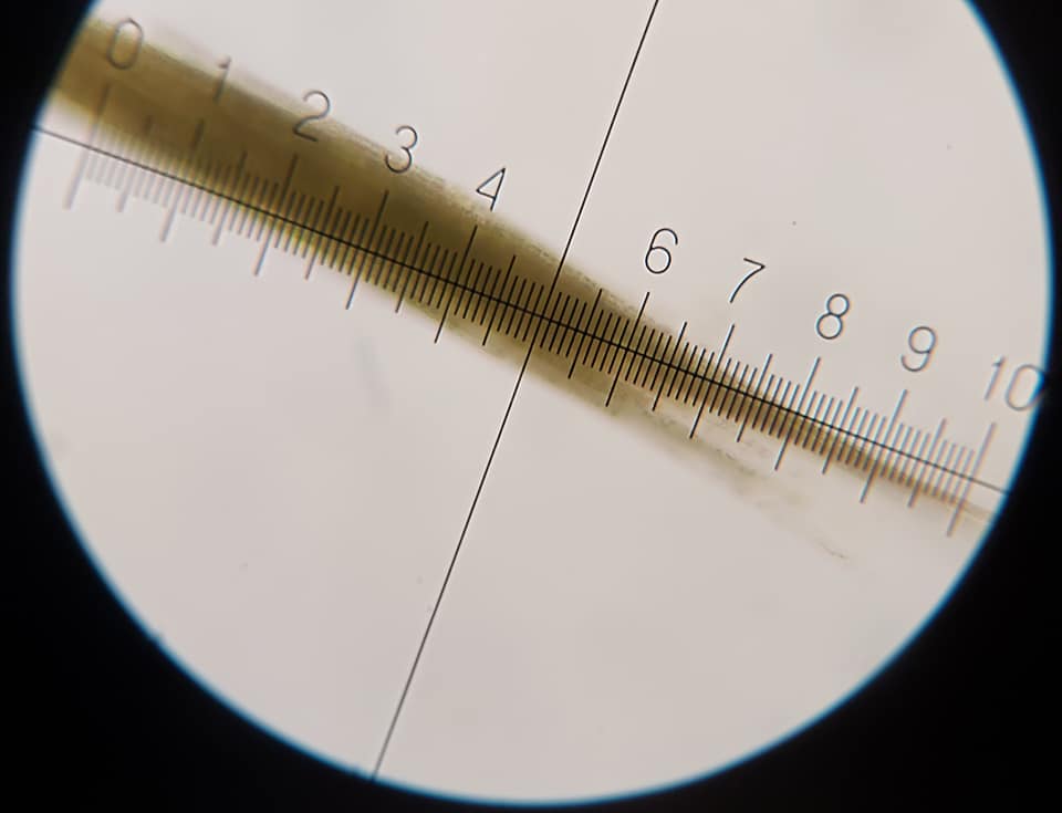 На популярном украинском курорте после дождей "зацвело" море: экологи бьют тревогу (фото)