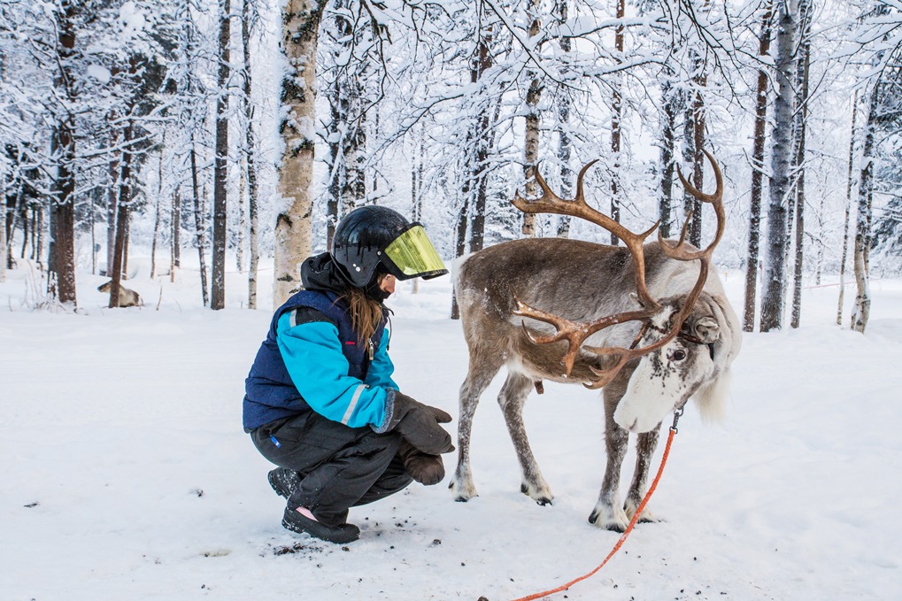 Сказочное путешествие к Санта-Клаусу: как украинцам отдохнуть в Лапландии