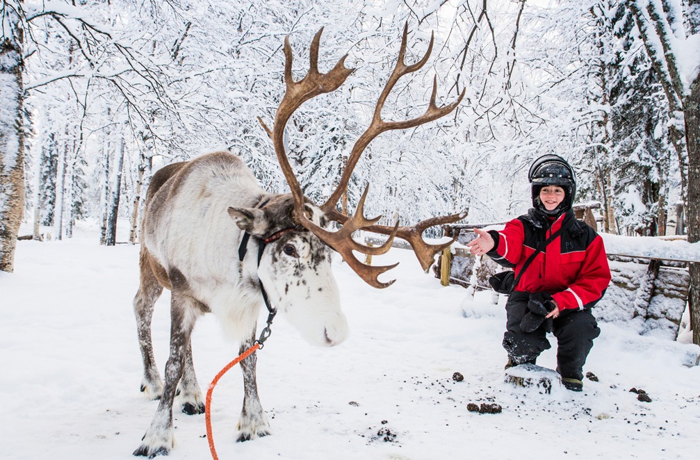 Затишна Лапландія і карибська екзотика: куди їдуть українці на свята