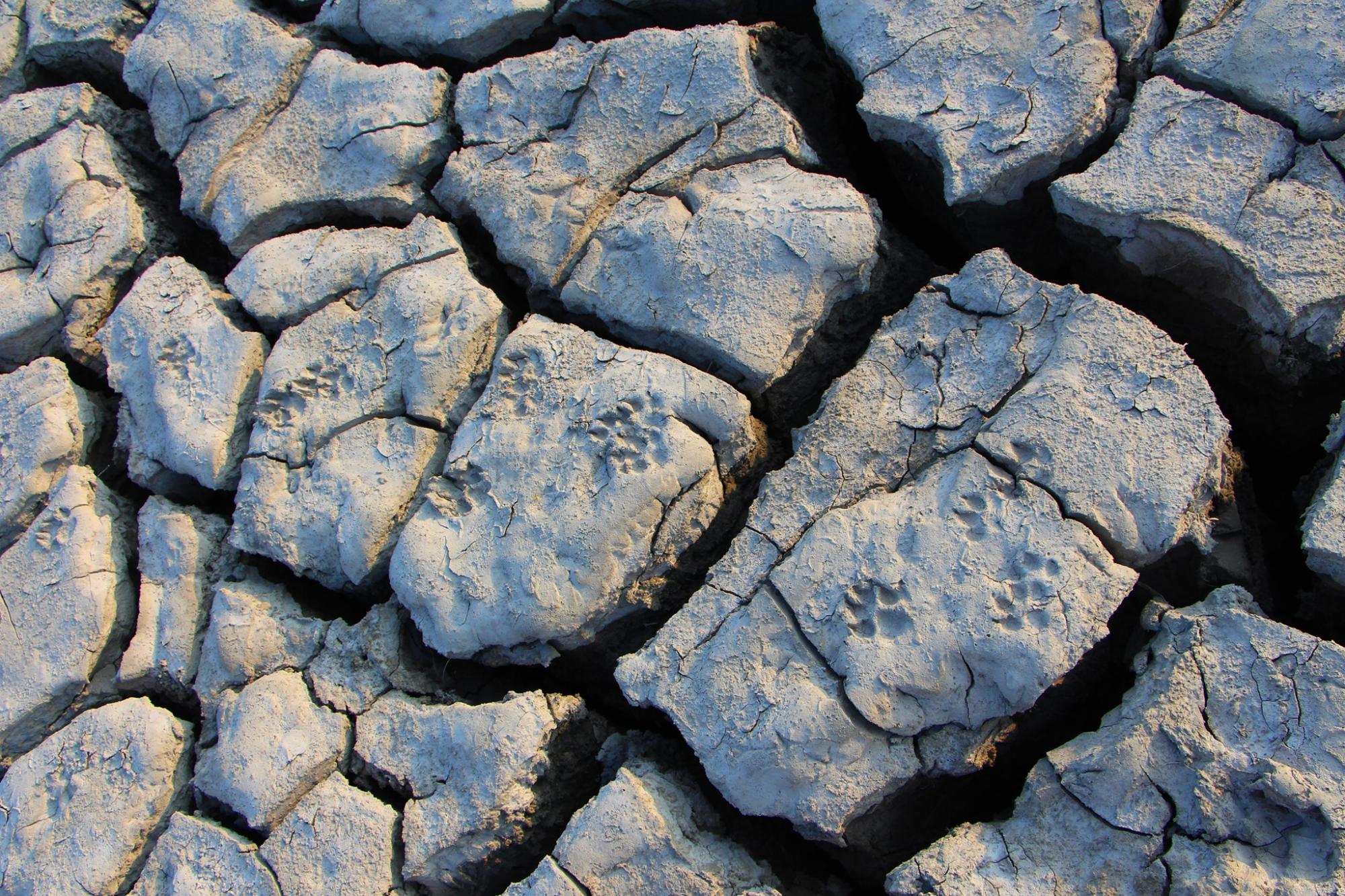 В Крыму навсегда исчезло красивейшее озеро: в сети показали грустные пейзажи