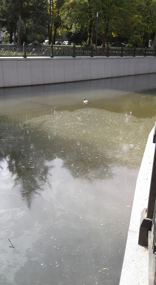 Крым превращается в помойку: в сети показали "чистейшие" воды рек