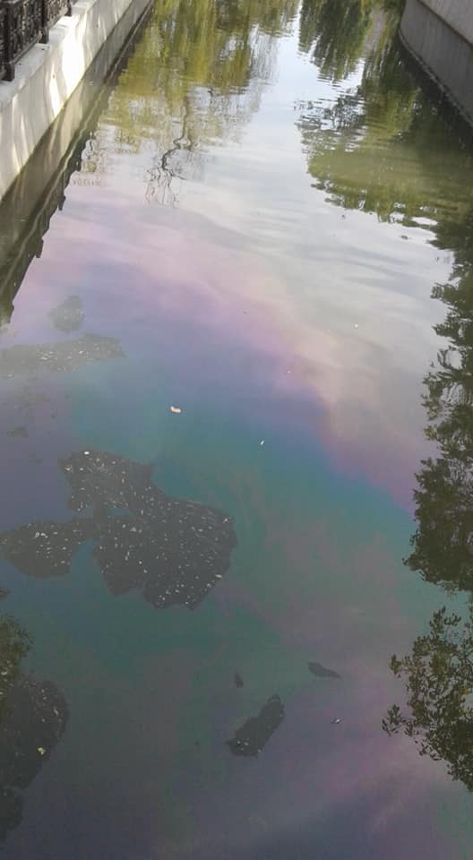 Крым превращается в помойку: в сети показали "чистейшие" воды рек