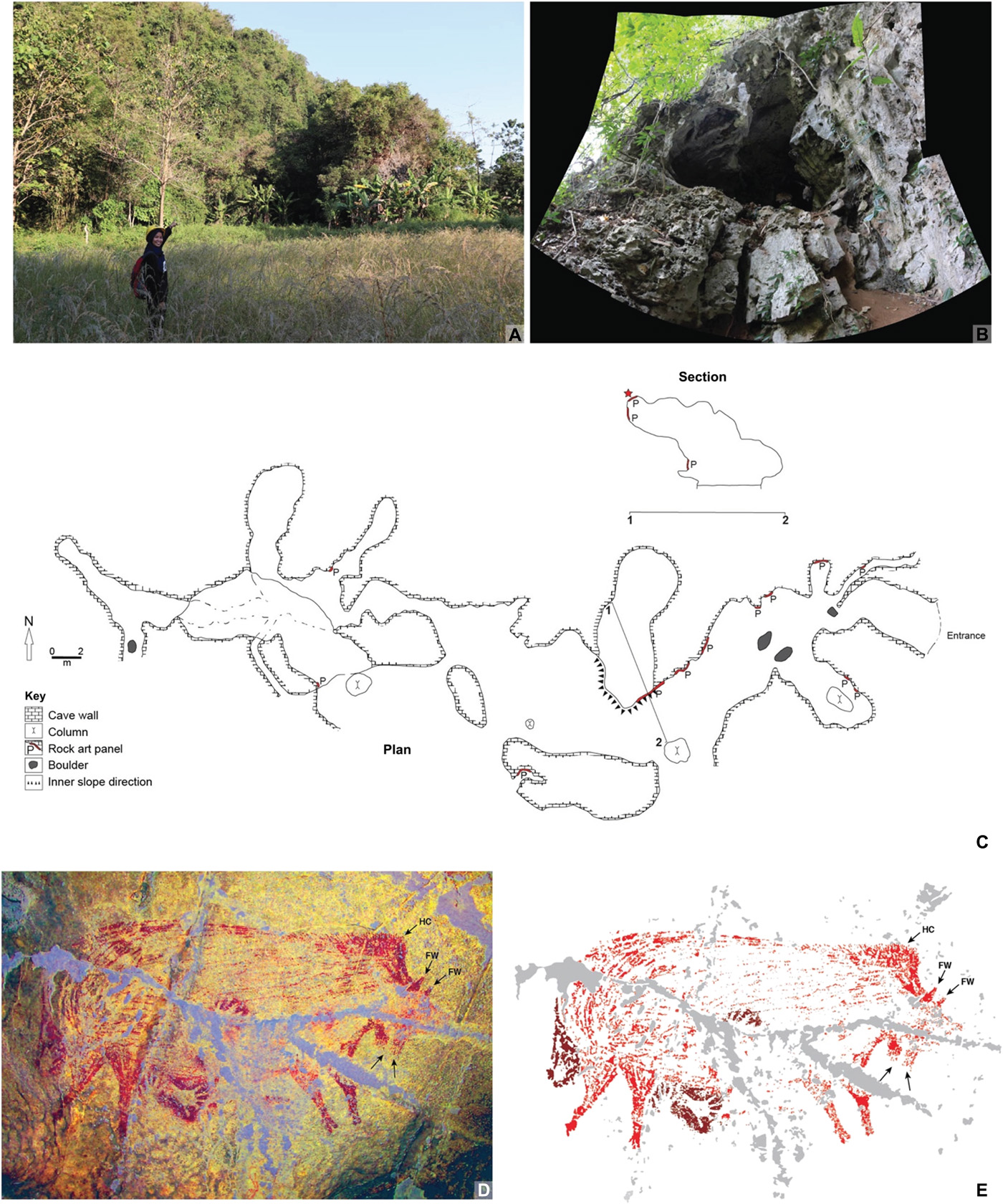 В Индонезии нашли второй по древности наскальный рисунок животного, которое любят в Украине