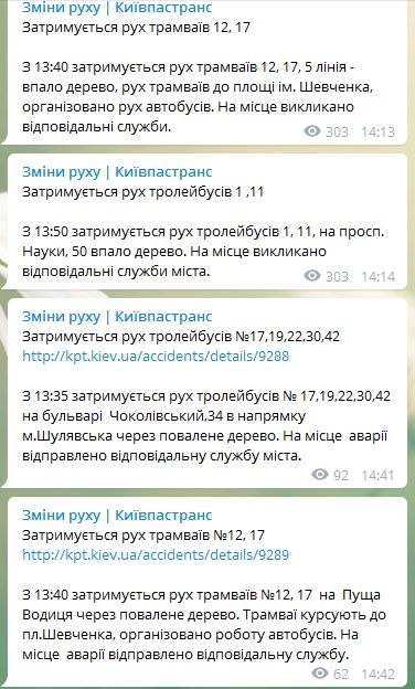 Из-за ветра в Киеве задерживаются трамваи и троллейбусы