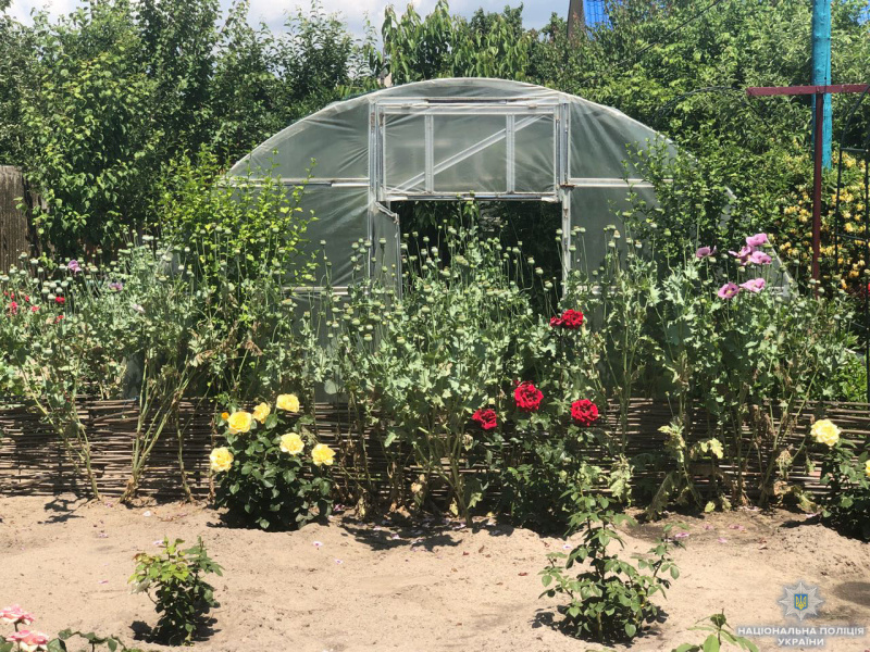 В Херсонской области задержали женщину-наркодилера